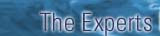 Izzat El Daouk && Sons, the experts eyes